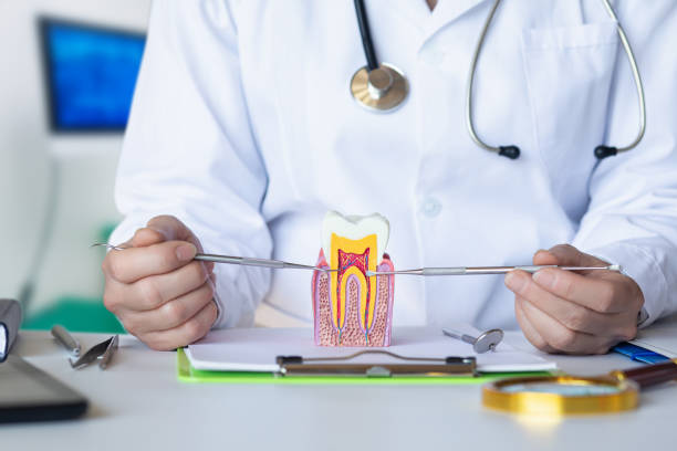 Best Weekend Emergency Dental Services in Park City, KS